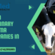 Top 10 Veterinary Pharma Companies in India