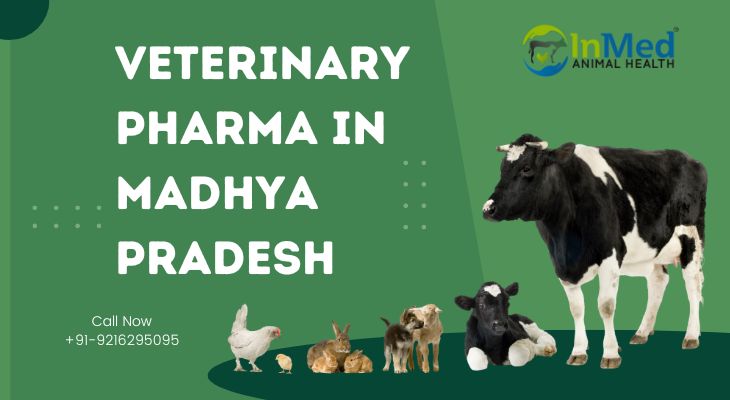 Veterinary PCD Pharma in Madhya Pradesh - Inmed Animal Health