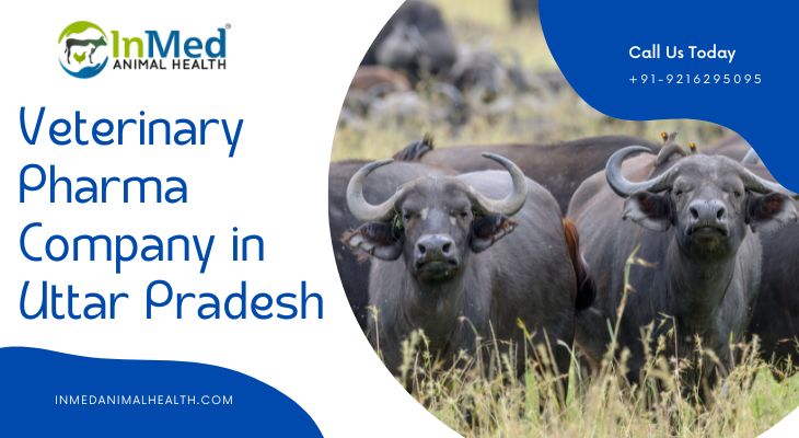 Veterinary PCD Pharma Franchise Company in Uttar Pradesh
