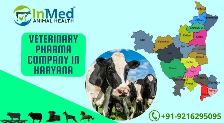 veterinary pharma company in Haryana
