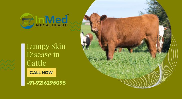 Lumpy Skin Disease in Cattle