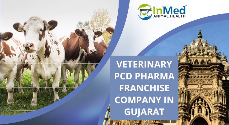 Veterinary PCD Pharma Franchise Company in Gujarat