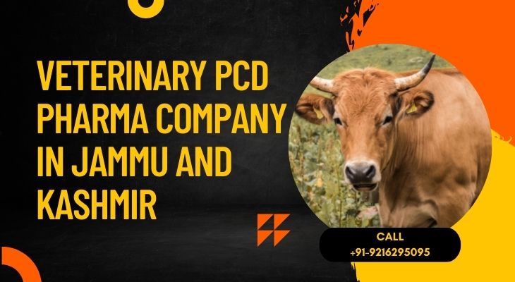 Veterinary-PCD-Pharma-Company-in-Jammu-and-Kashmir