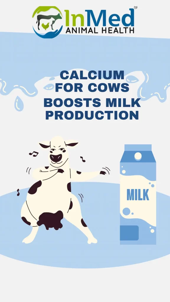 Calcium for cows