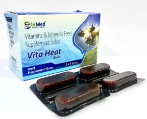 Vita Heat