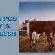 veterinary PCD Company in Uttar Pradesh