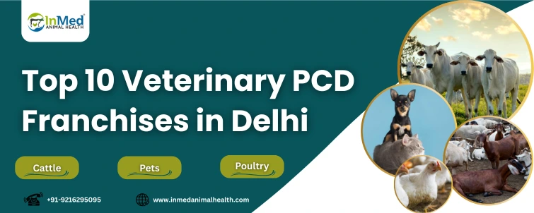 Top 10 Veterinary PCD Franchises in Delhi