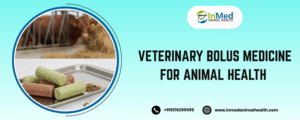 Veterinary bolus medicine for Animal health