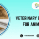 Veterinary bolus medicine for Animal health