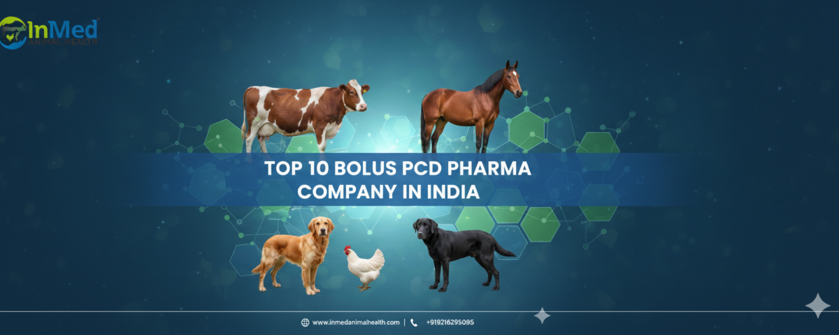 Top 10 Bolus PCD Pharma Company In India