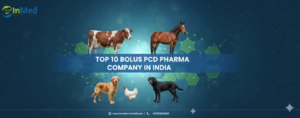 Top 10 Bolus PCD Pharma Company In India