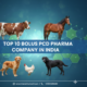 Top 10 Bolus PCD Pharma Company In India