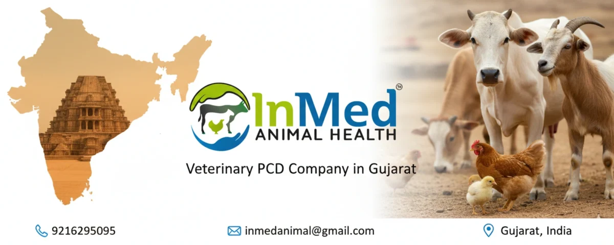 Veterinary PCD Company in Gujarat
