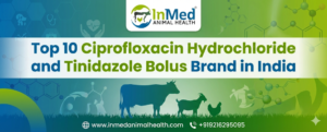 Top 10 Ciprofloxacin Hydrochloride and Tinidazole Bolus Brand in india
