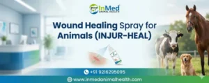 wound healing spray for animals