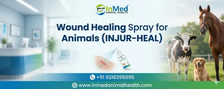 wound healing spray for animals