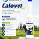 Calovet Gel