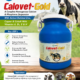 Calovet-Gold
