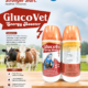 GLUCOVET 