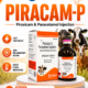 Piracam-P