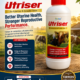Utriser