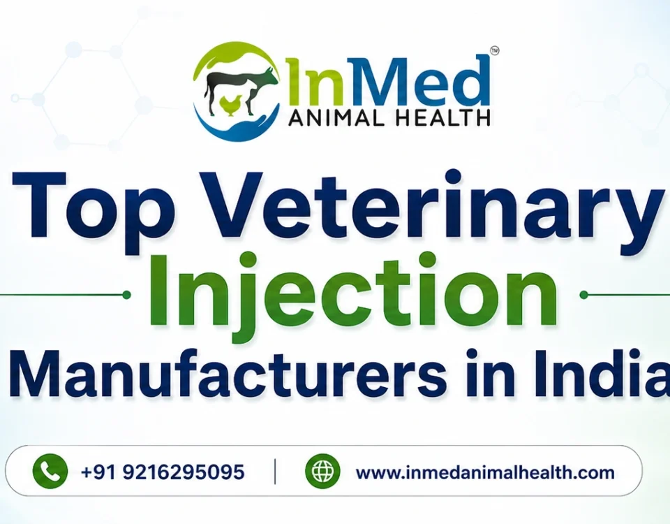 Top Veterinary Injection Manufacturers in India
