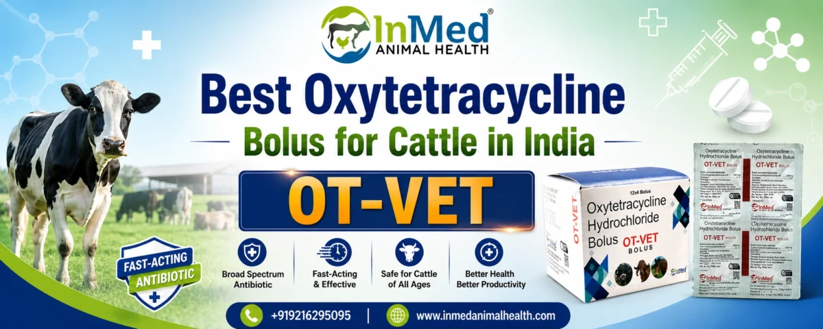 Best oxytetracycline bolus for cattle in India
