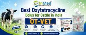 Best oxytetracycline bolus for cattle in India