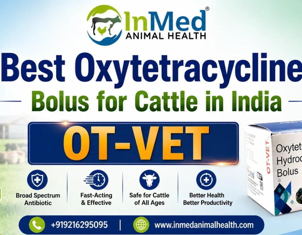 Best oxytetracycline bolus for cattle in India