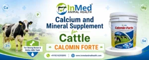 Calcium And Mineral Supplement For Cattle