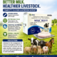 Milk+ Bolus