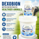DexoBion