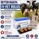 IV-VET Bolus