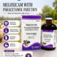 Meparmed Injection