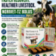 Norivet-TZ Bolus