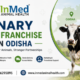 Veterinary PCD Pharma Franchise Company in Odisha