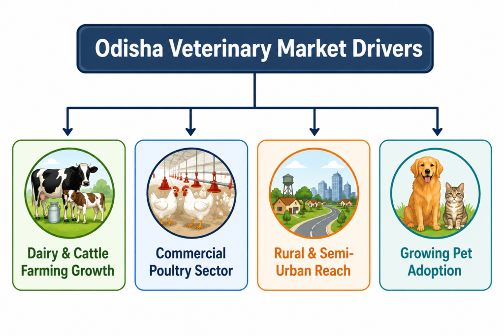 Inmed Animal Health