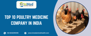 Top 10 poultry medicine company in india