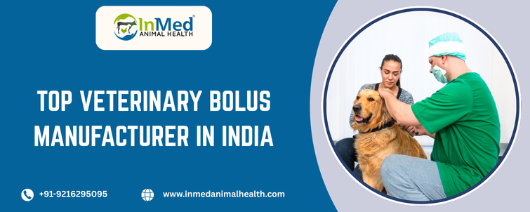 Top Veterinary Bolus Manufacturer in India