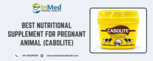 best nutritional supplement for pregnant animal