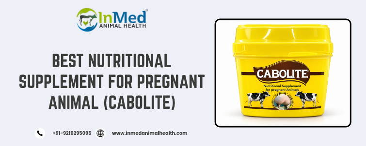 best nutritional supplement for pregnant animal